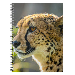 leopard notebook