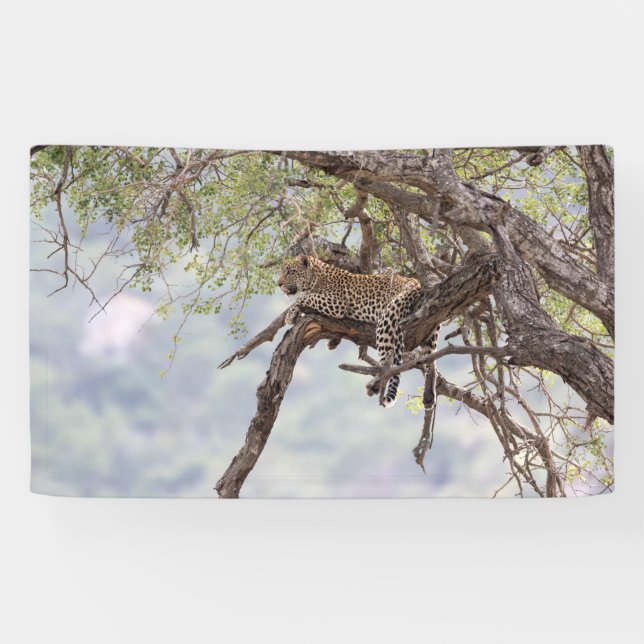 Leopard on a tree banner (Horizontal)