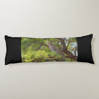 Leopard on a tree