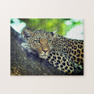 Leopard on a Tree Majestic Big Cat  Jigsaw Puzzle