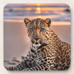 Leopard on the beach coaster