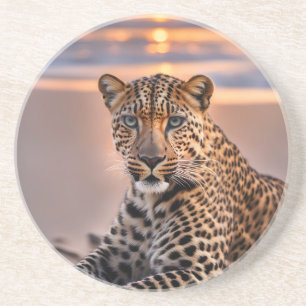 Leopard on the beach coaster