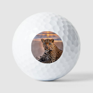 Leopard on the beach golf balls