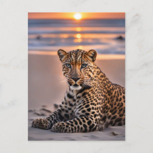 Leopard on the beach holiday postcard