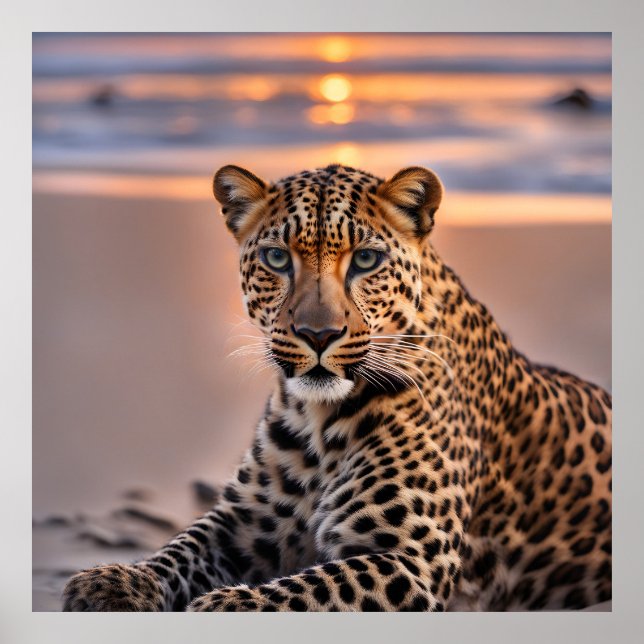 Leopard on the beach poster (Front)
