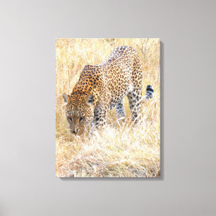 LEOPARD ON THE PROWL CANVAS PRINT