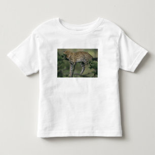 Leopard, (Panthera pardus), Kenya, Masai Mara Toddler T-Shirt