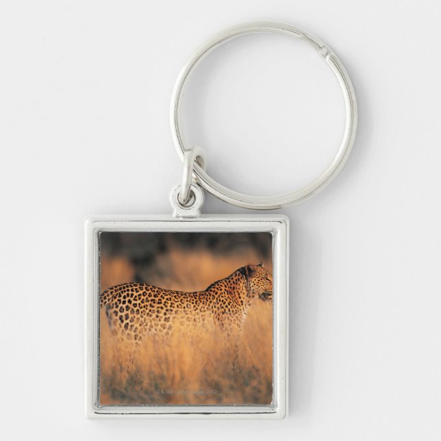 Leopard (Panthera pardus) Key Ring (Front)