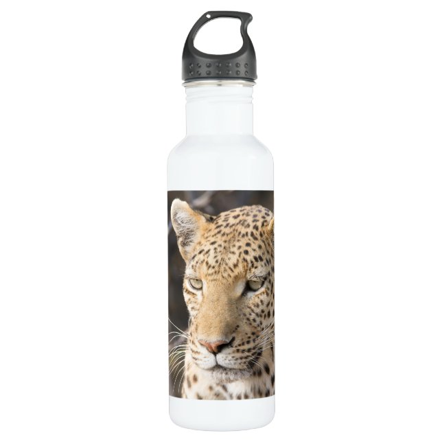 Leopard portrait 710 ml water bottle (Front)