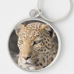 Leopard portrait key ring
