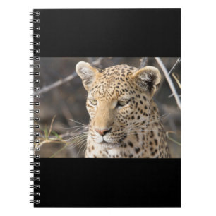 Leopard portrait notebook
