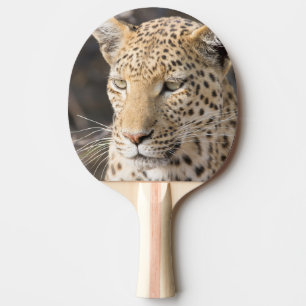 Leopard portrait ping pong paddle