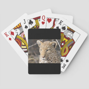 Leopard portrait playing cards