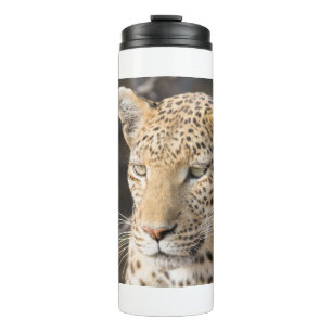 Leopard portrait thermal tumbler