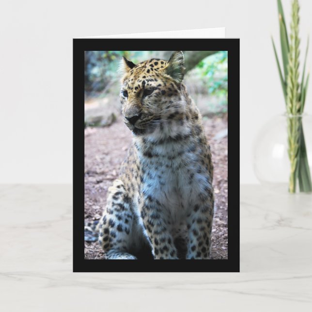 Leopard Pose Card (Front)