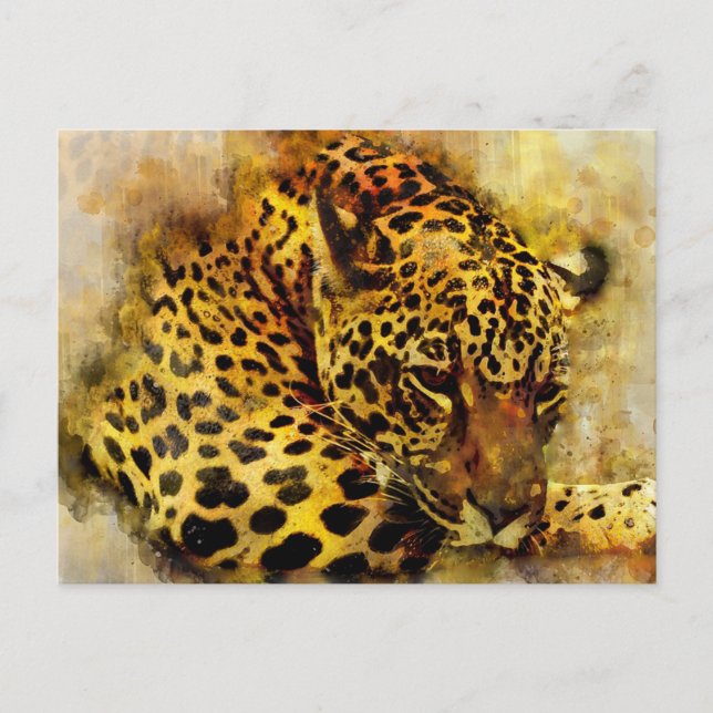 Leopard Postcard (Front)