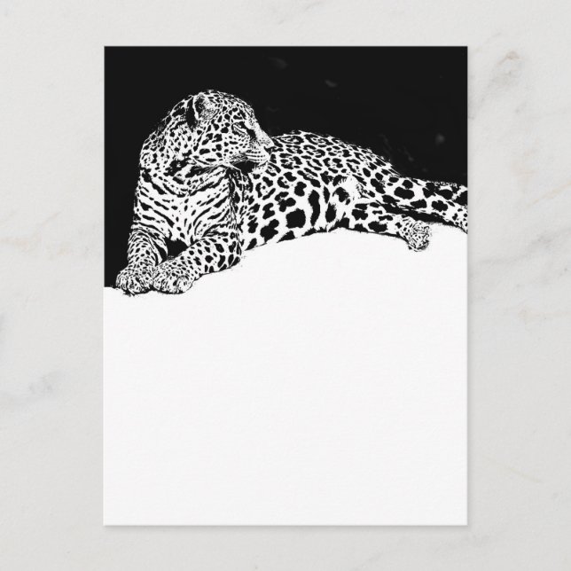 Leopard Postcard (Front)