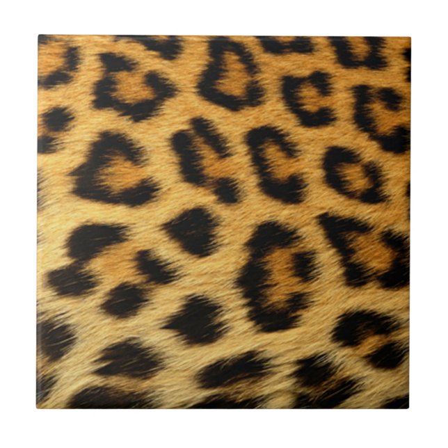 Leopard Print Tile (Front)