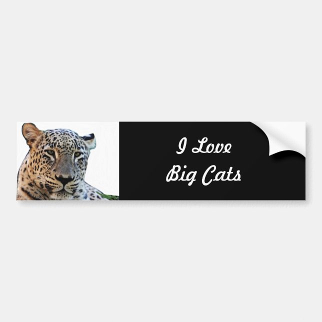 Leopard prints bumper sticker (Front)