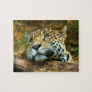 Leopard Puzzle