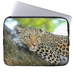 Leopard resting in a tree laptop sleeve