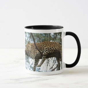 Leopard Resting in Tree Mug