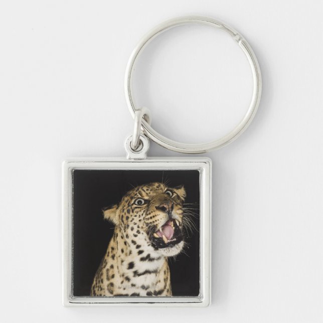Leopard roaring key ring (Front)