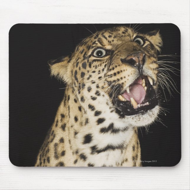 Leopard roaring mouse pad (Front)