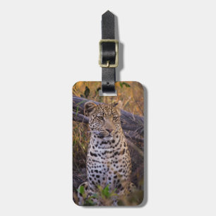 Leopard sitting, Botswana, Africa Luggage Tag