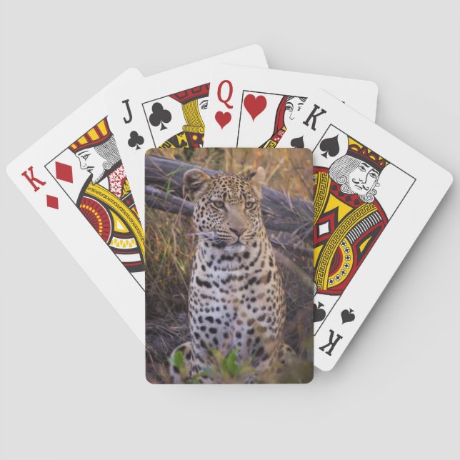 Leopard sitting, Botswana, Africa Playing Cards (Back)