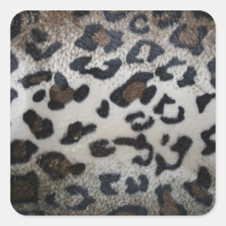 Leopard skin pattern square sticker