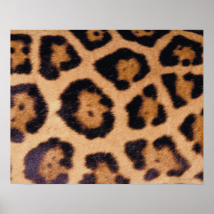 Leopard skin poster
