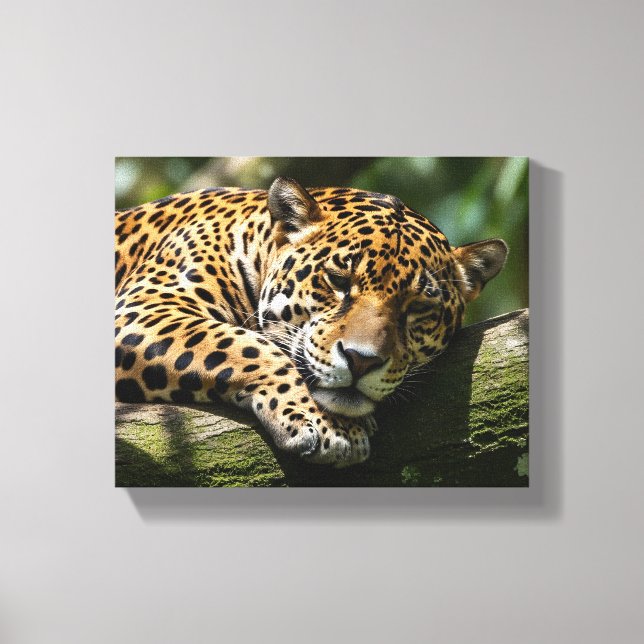 leopard sleeping canvas wall art (Front)
