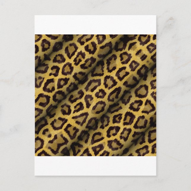 Leopard Spots Postcard (Front)