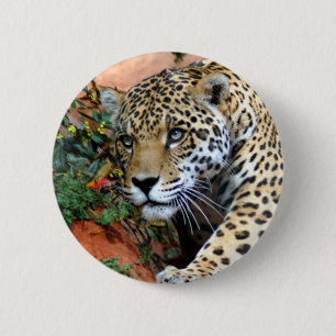 Leopard Stalking Macro 6 Cm Round Badge