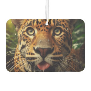 Leopard Stares While Lapping Water in Jungle  Car Air Freshener