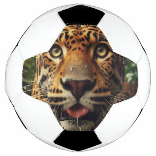 Leopard Stares While Lapping Water in Jungle  Soccer Ball