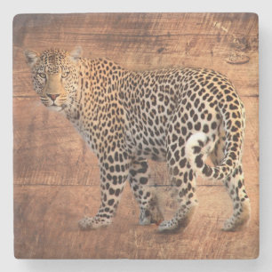 Leopard Stone Coaster