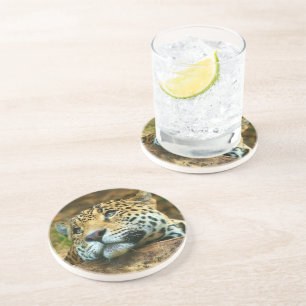 Leopard Stone Coaster