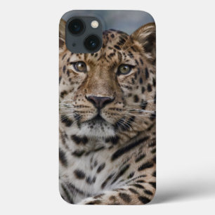 Leopard Thoughts iPad Case