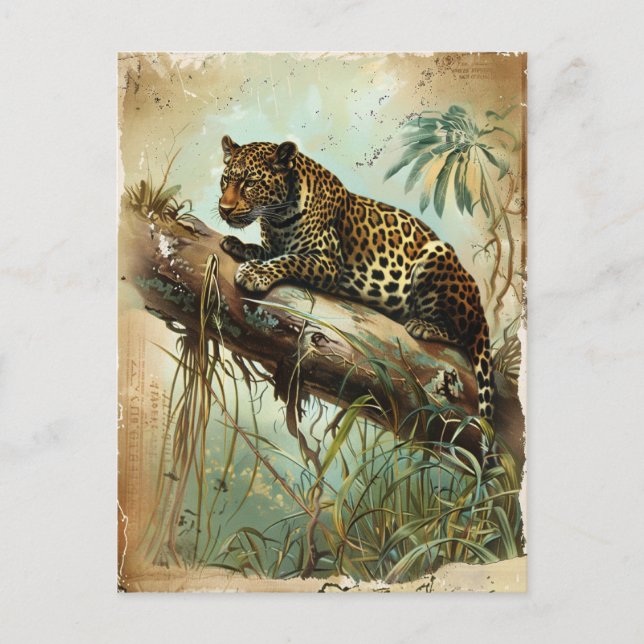 Leopard Vintage  Postcard (Front)
