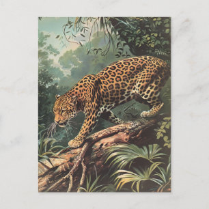 Leopard Vintage Postcard