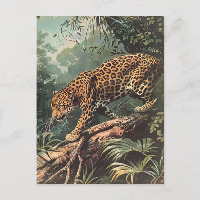 Leopard Vintage  Postcard (Front)