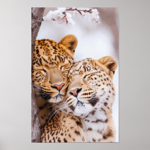 Leopard Wild Animal Relaxing Natural Environment Poster