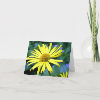Leopard's Bane Note Card