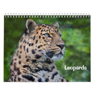 Leopards Calendar