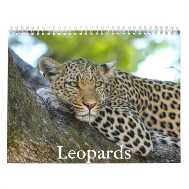 Leopards Calendar (Cover)
