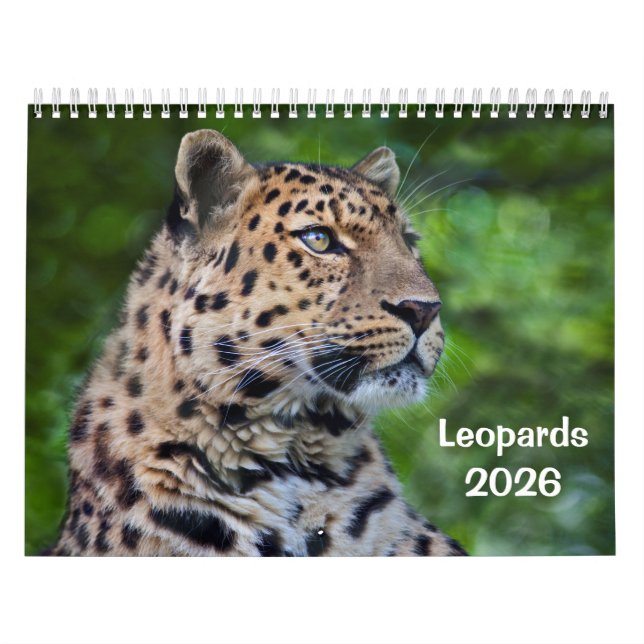 Leopards Calendar (Cover)