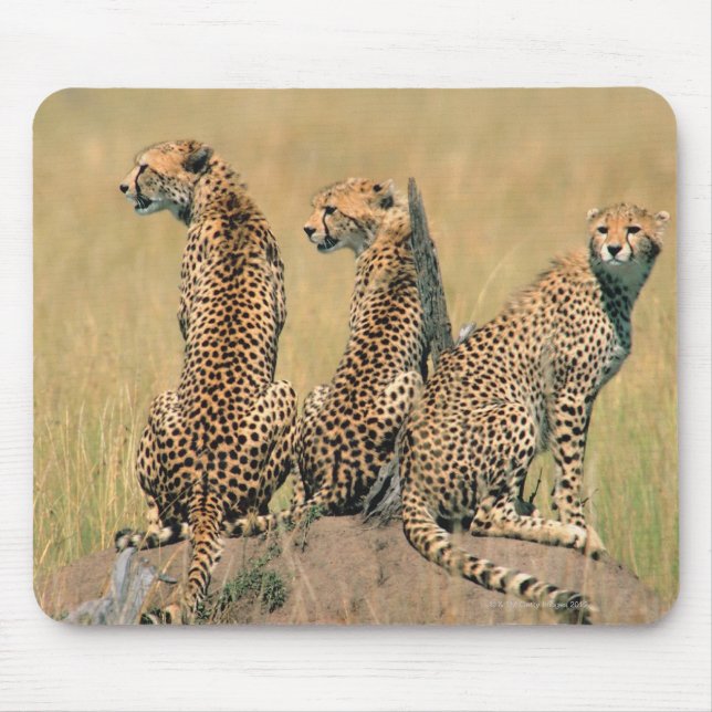 Leopards looking away mouse pad (Front)