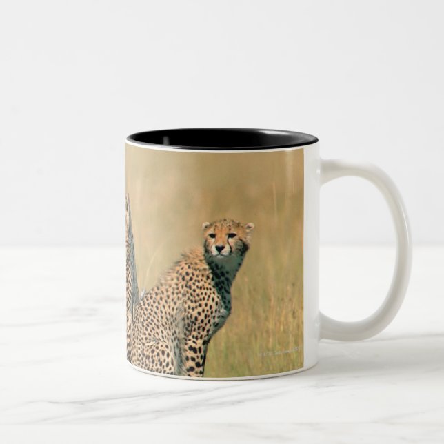 Leopards looking away Two-Tone coffee mug (Right)